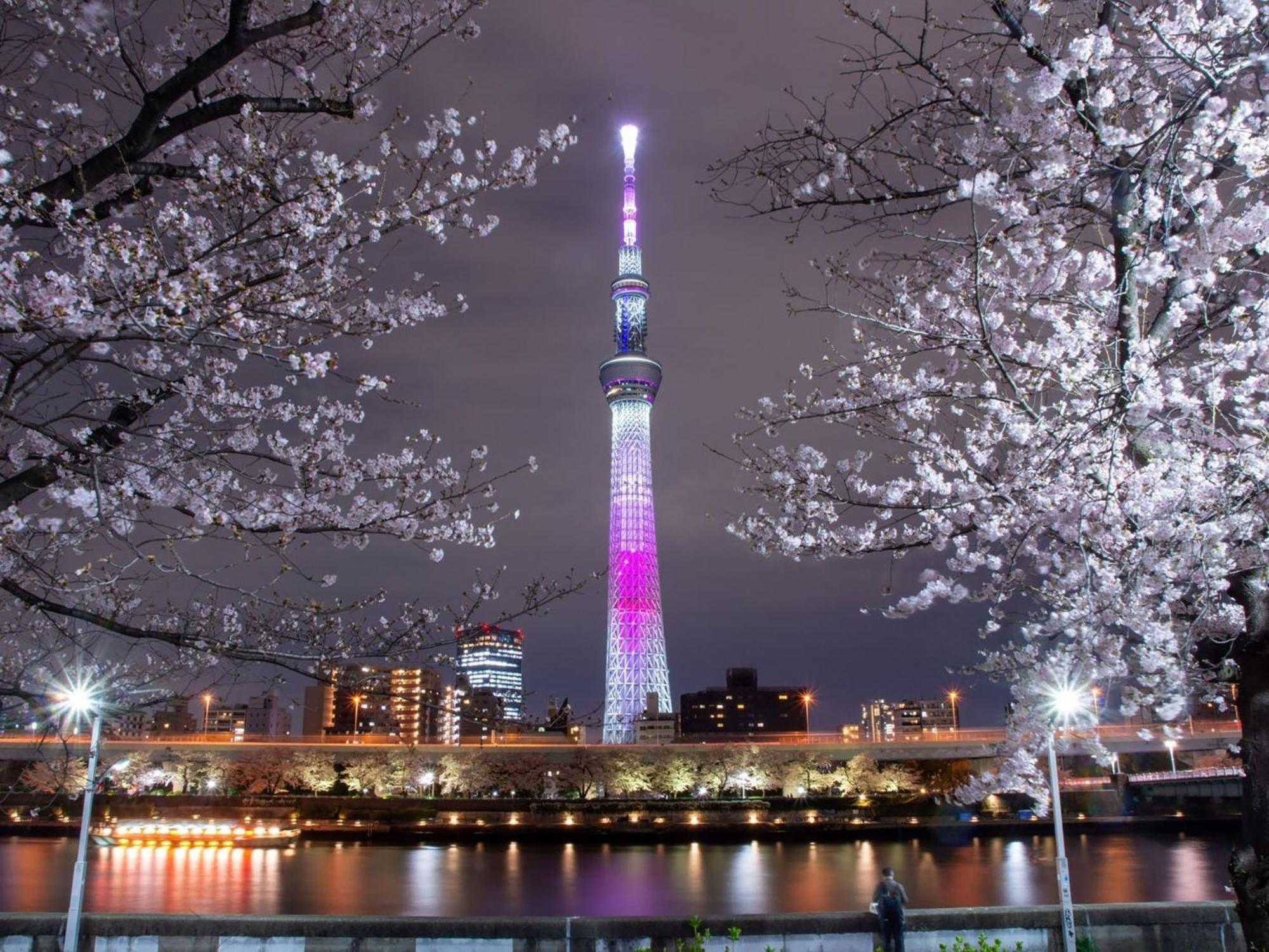 Rakuten Stay Tokyo Asakusa Twin Room Екстер'єр фото